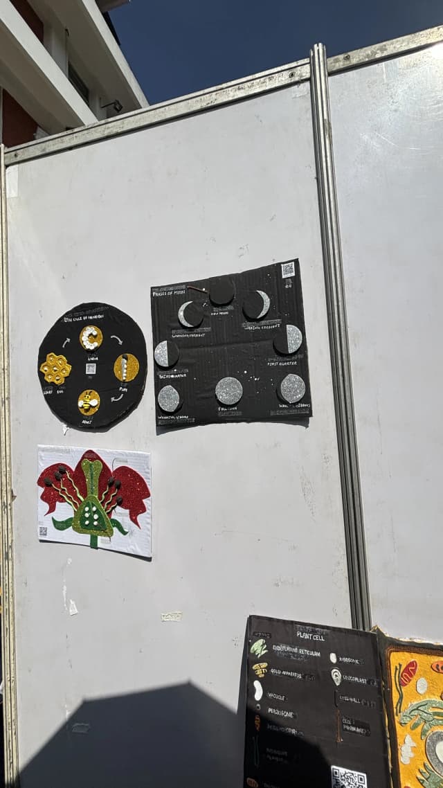 Picture displaying 3 3D models hanging on the wall of the stall which includes Life cycle of Honeybee, Phases of Moon and Parts of flower.